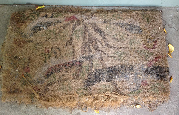 It once had a lovely motif of birds, branches and blooms. Really it did.