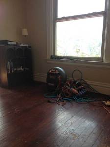 A lovely statement for any study.