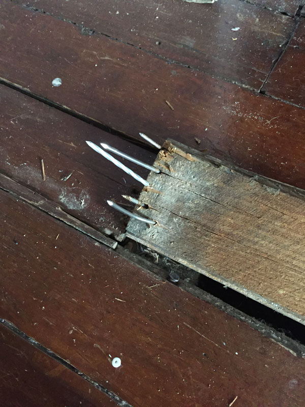 This person is (or was) an ass.