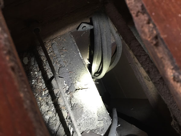 What fresh hell is this?