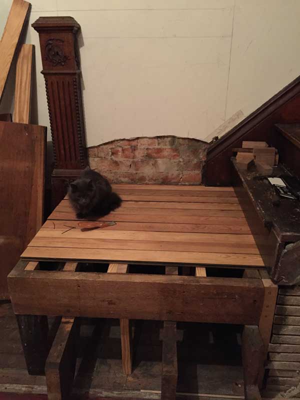 JJ wouldn't design to sit on the plywood I had there for the last month. Apparently, he approves of the pine.