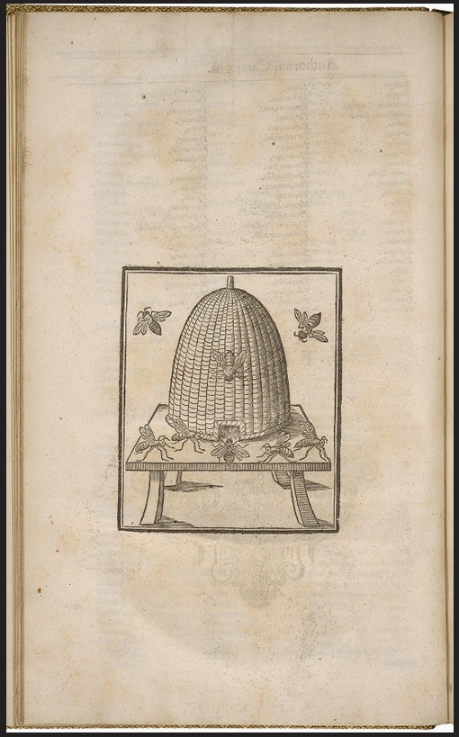 Screen Shot 2019-02-04 at 4.44.57 PM